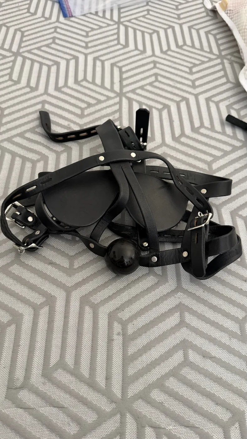 Harness & Panel Gags