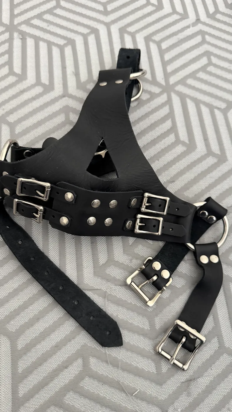 Muzzles